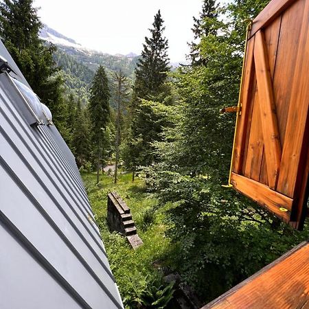 ~Chalet_Rifugio Tra I Boschi~ Sella Nevea Exterior foto